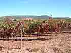Rioja