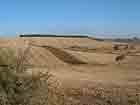 Weg vor St. Dominco de la Calzada