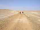 Meseta