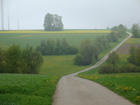Weg vor B�hmenkirch