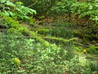 am sch�nen Weg vor Weingarten