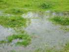 Regenpf�tze, alles nass
