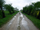 R�merstrasse