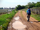 Auf dem Chemin des Grands Crus