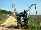 Winzer mit Traktor