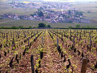 bei Chambertin