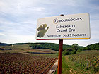 Echezeaux
