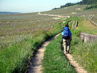 Weg nach Corton