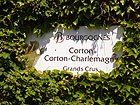 Corton-Charlemagne