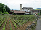 Pommard