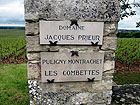 Puligny Montrachet