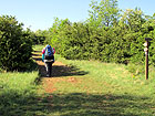 auf dem Weg nach Mellecey