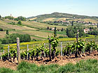 s�dliches Burgund
