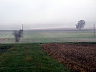 Morgennebel