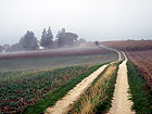 Der Nebel l�st sich auf