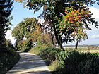 Weg