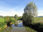 La Meuse (Maas)