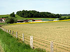 Feld