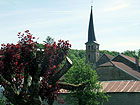 Meuvi
