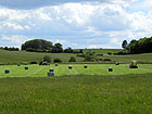 gem�hte Wiese