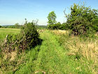 Wiesenpfad