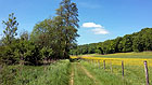 Wiesenpfad