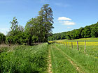 Feldweg