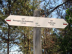 Wegweiser