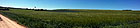 Feld