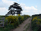 Feldweg