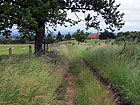 Sch�ner Weg