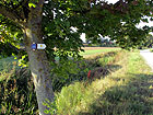 Weg