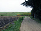 Weg