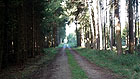 Weg