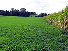Wiesenweg