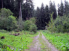 Weg